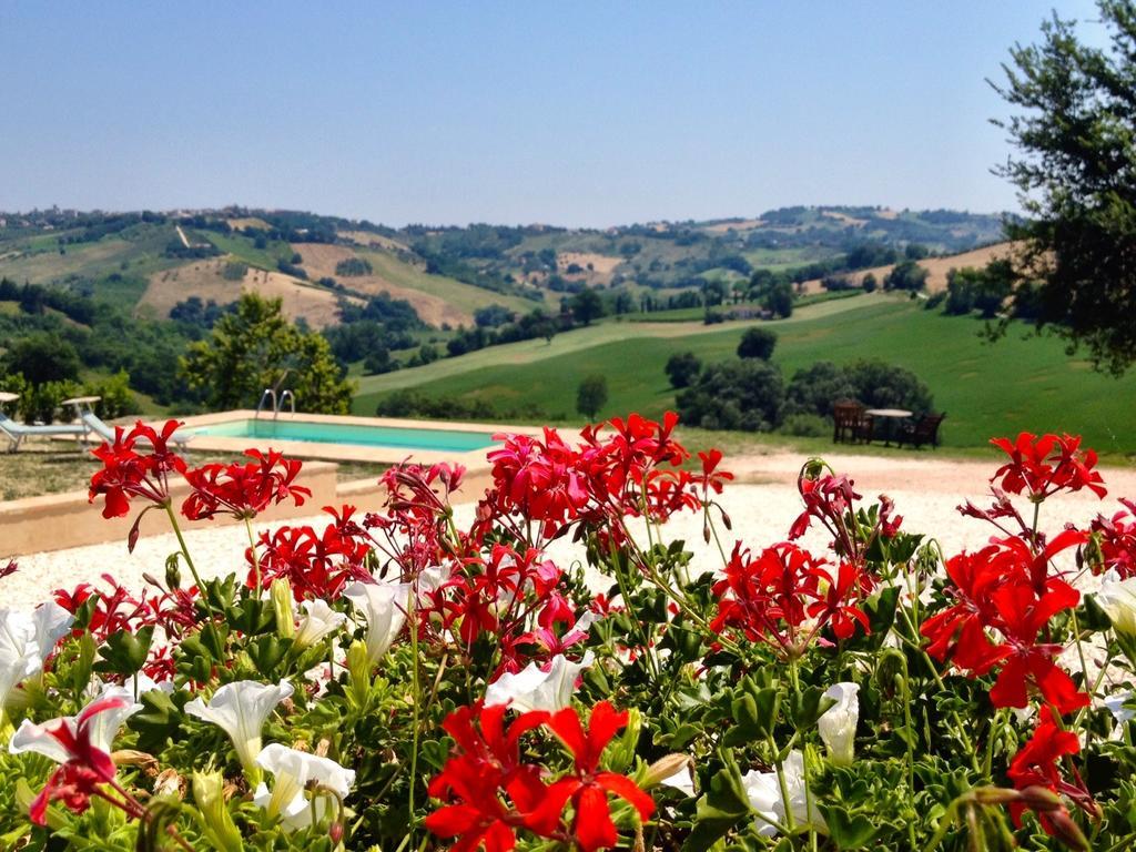 Casale Delle Rondini Bed and Breakfast Tolentino Buitenkant foto