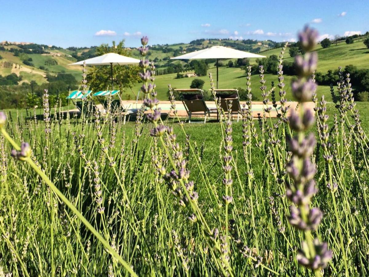 Casale Delle Rondini Bed and Breakfast Tolentino Buitenkant foto
