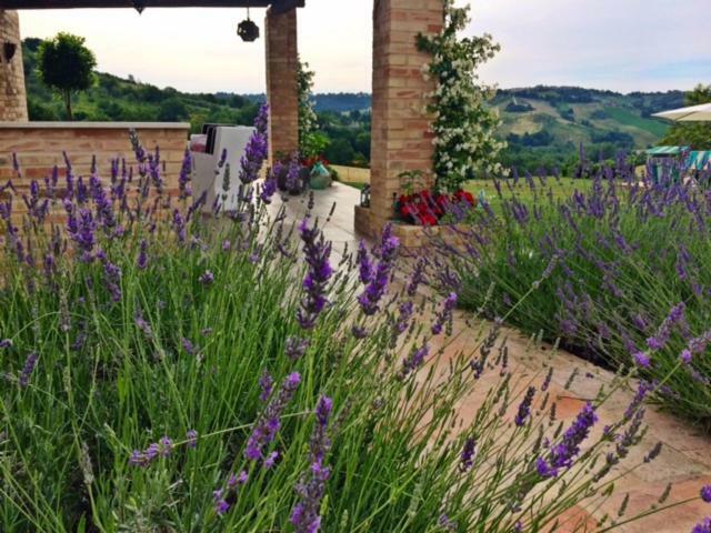 Casale Delle Rondini Bed and Breakfast Tolentino Buitenkant foto