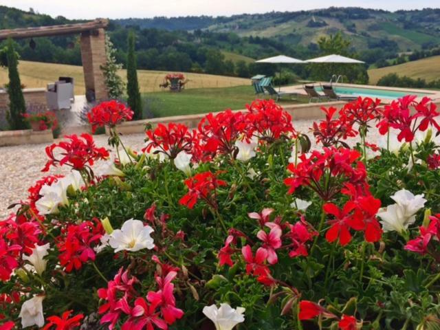 Casale Delle Rondini Bed and Breakfast Tolentino Buitenkant foto