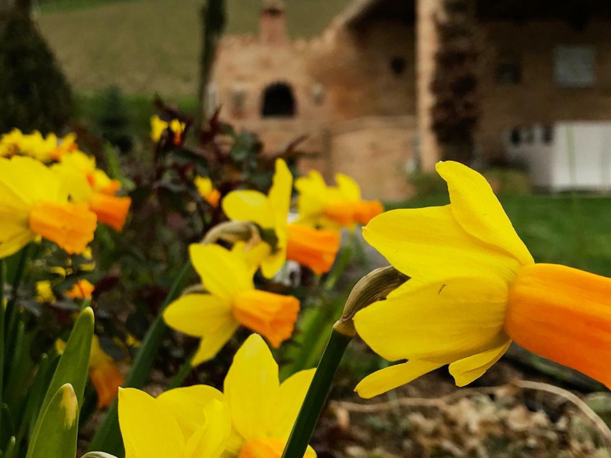 Casale Delle Rondini Bed and Breakfast Tolentino Buitenkant foto