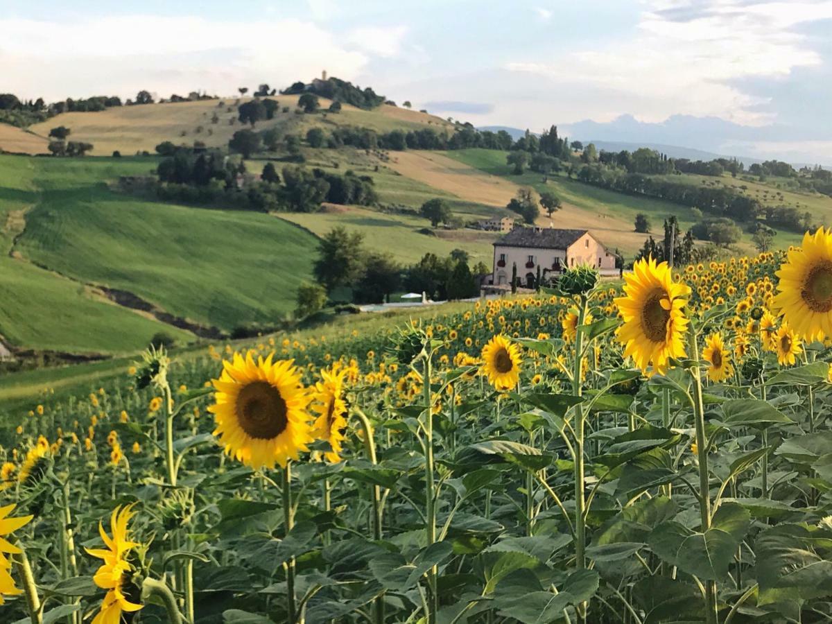 Casale Delle Rondini Bed and Breakfast Tolentino Buitenkant foto