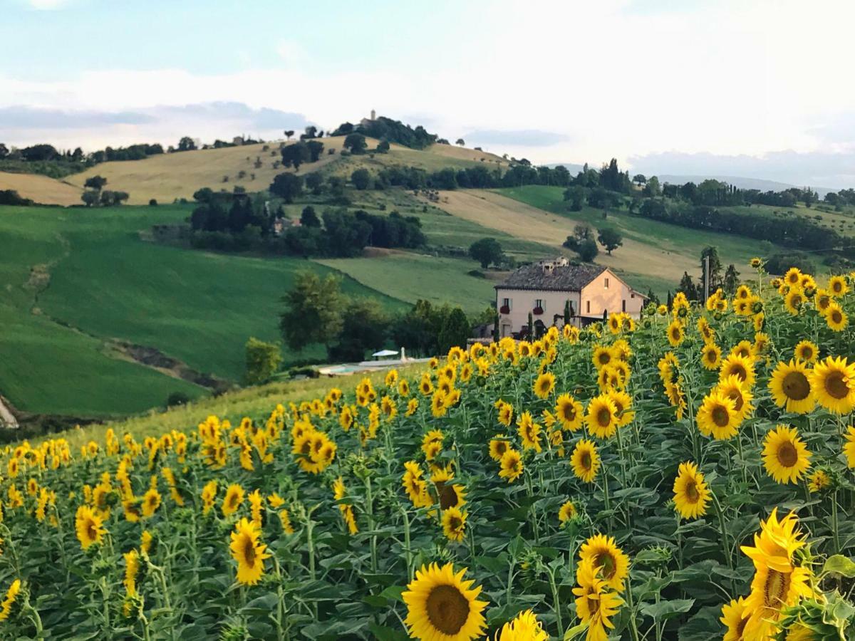 Casale Delle Rondini Bed and Breakfast Tolentino Buitenkant foto